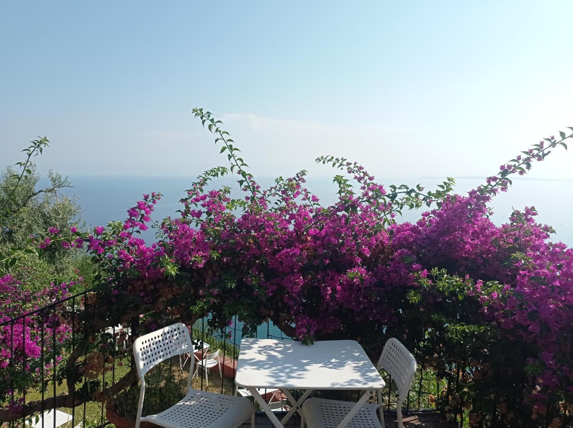 Mansarda Con Terrazzo Vista Mare Villa Oliveri Eksteriør billede